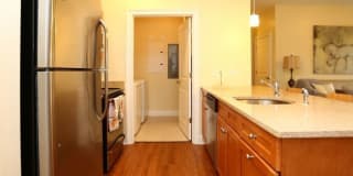 The Springs Gallery 14