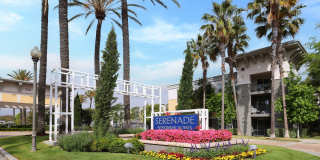 Serenade at Riverpark Gallery 49