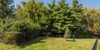 Whisper Hollow Gallery 32