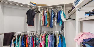 79325 Toronja Gallery 15