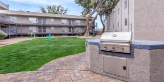 Treehouse Apartments Gallery 24