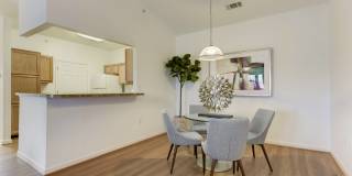 Lee Trace Gallery 3