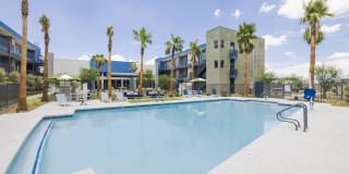 The Lotus Gallery 18