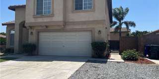 15177 Dandelion Gallery 4
