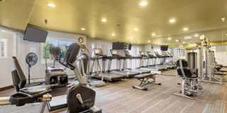 The Preserve at Commerce The Preserve at Commerce Gallery 24