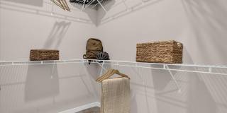 Springs at Colonial Gallery 14