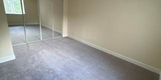 Northgate Gallery 145