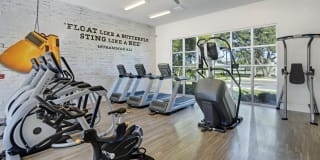 Springs at Hibiscus Crossing Gallery 36