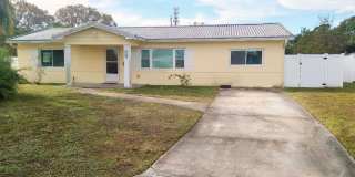 Large Pool Home w/ Huge Yard, New Kitchen - Easy access to St Pete Gallery 1