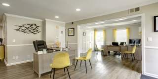 Compass Vista Gallery 26