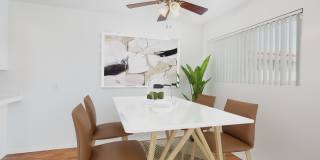 Bon Anza Gallery 3
