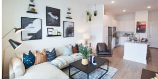 The Ivy at Ariston Gallery 23