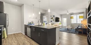 Olympus Steelyard Gallery 11