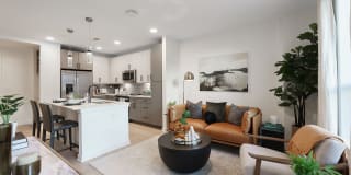 Solis Midtown Gallery 7