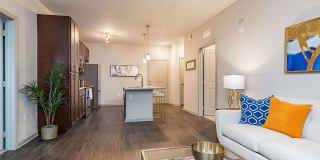 San Mateo Crossing Gallery 7