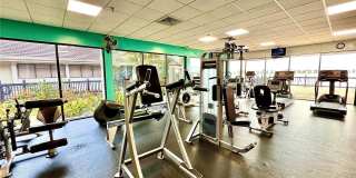 109 Lake Emerald Dr Gallery 16