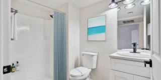 Palomar Apartment Homes Gallery 8