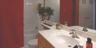 The Bennington at Silver Spring Gallery 9