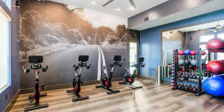 Icon at Hardin Valley Gallery 8