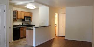 Available now! Studio apartment! Gallery 13