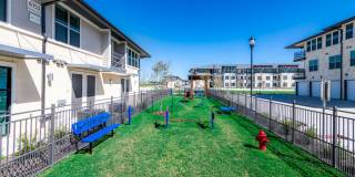 Chisholm at Tavolo Park Gallery 41