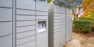 Cary Pines Apartments Gallery 25