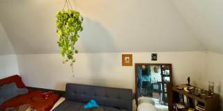 Newly renovated spacious 4 bedroom home in Sheraden - AVAILABLE OCTOBER! Gallery 13