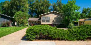 Great 4 bedroom in Fort Collins! Gallery 3