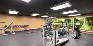 1 Watermill Pl Gallery 8