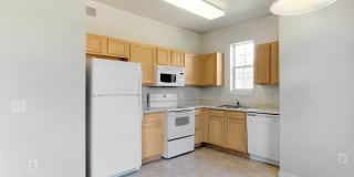 Alexis at Perry Pointe Gallery 57