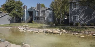 Cypress Creek Gallery 37