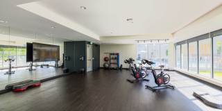 The Fenley Gallery 29