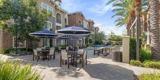 Valentia by Windsor Gallery 21