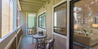 1061 Beach Park Blvd Apt 216 Gallery 13