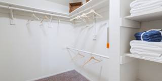 Northgreen at Carrollwood Gallery 14