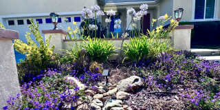25026 Ganymede Way Gallery 11