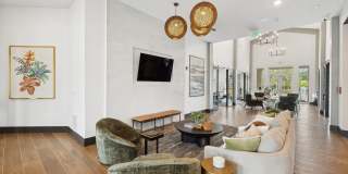 Ascend at Woodlands Gallery 108