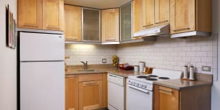 The Blackwood Gallery 12