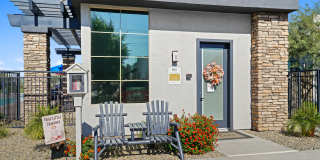 Olive Queen Creek Gallery 27