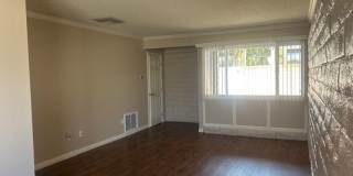 The Pines Apartments Gallery 5