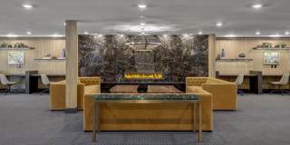 Vineyards Gallery 84