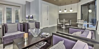 The Collection Gallery 42