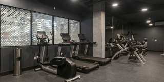 Hilite Gallery 10