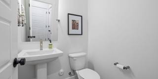 257 Asher Hills Court Gallery 14