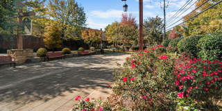 Arium Vinings Station Gallery 36