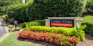 Laurel Oaks Gallery 31