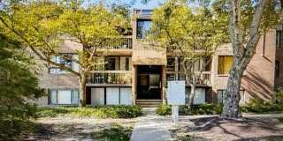 8705 HAYSHED Lane unit: 33 Gallery 1