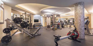 Domain College Park Gallery 3
