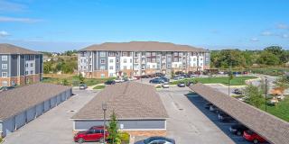 Kinsley Forest Gallery 35