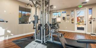 Diamond Mesa Gallery 15